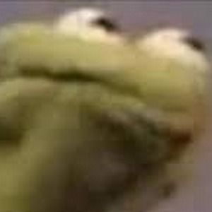 Meet your Posher, Vincent